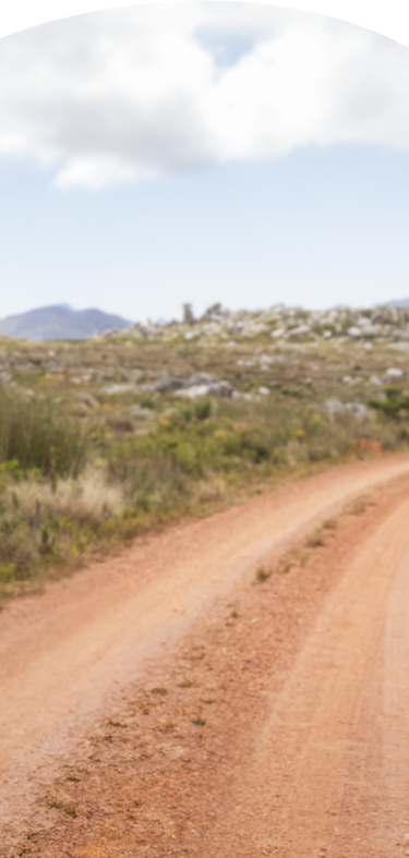 Dirt path lined with greenery and mountains in the distance