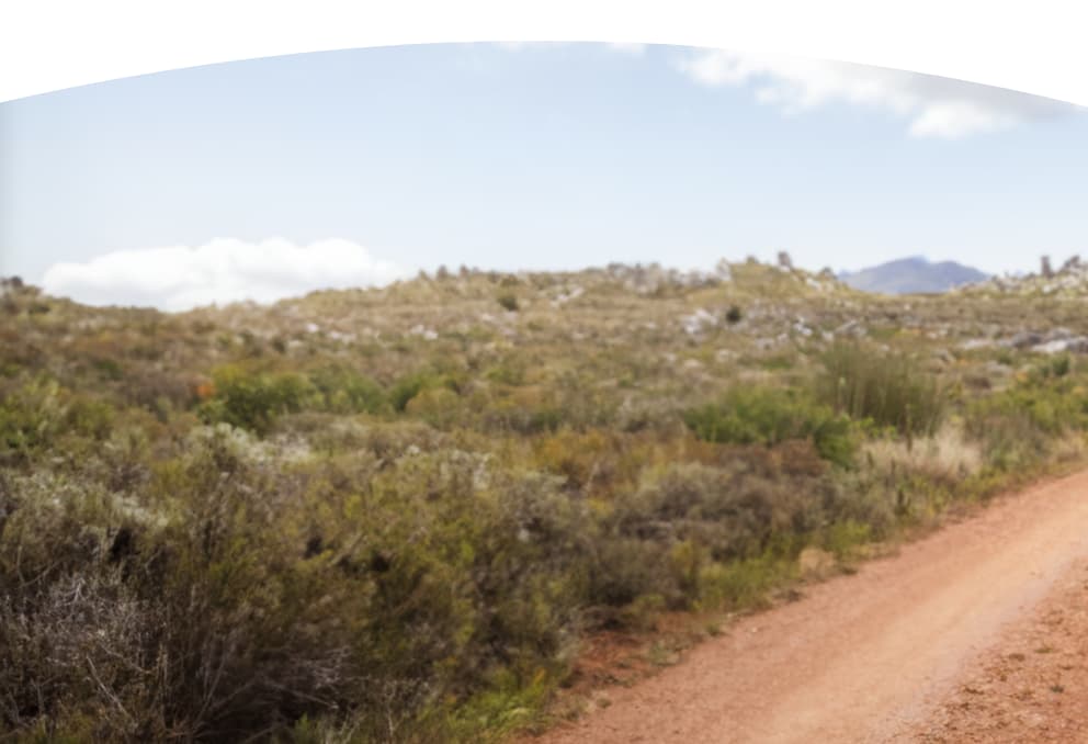 Dirt path lined with greenery and mountains in the distance
